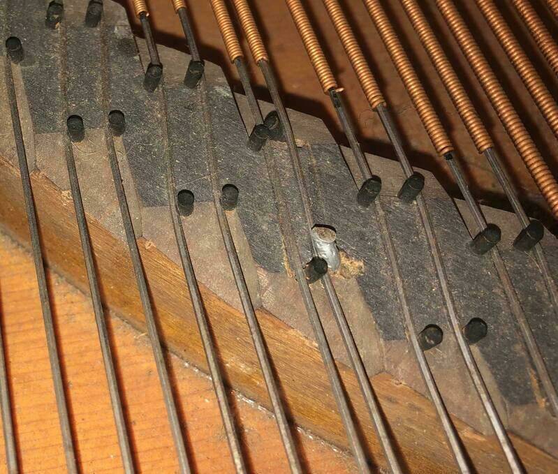 [Linked Image]