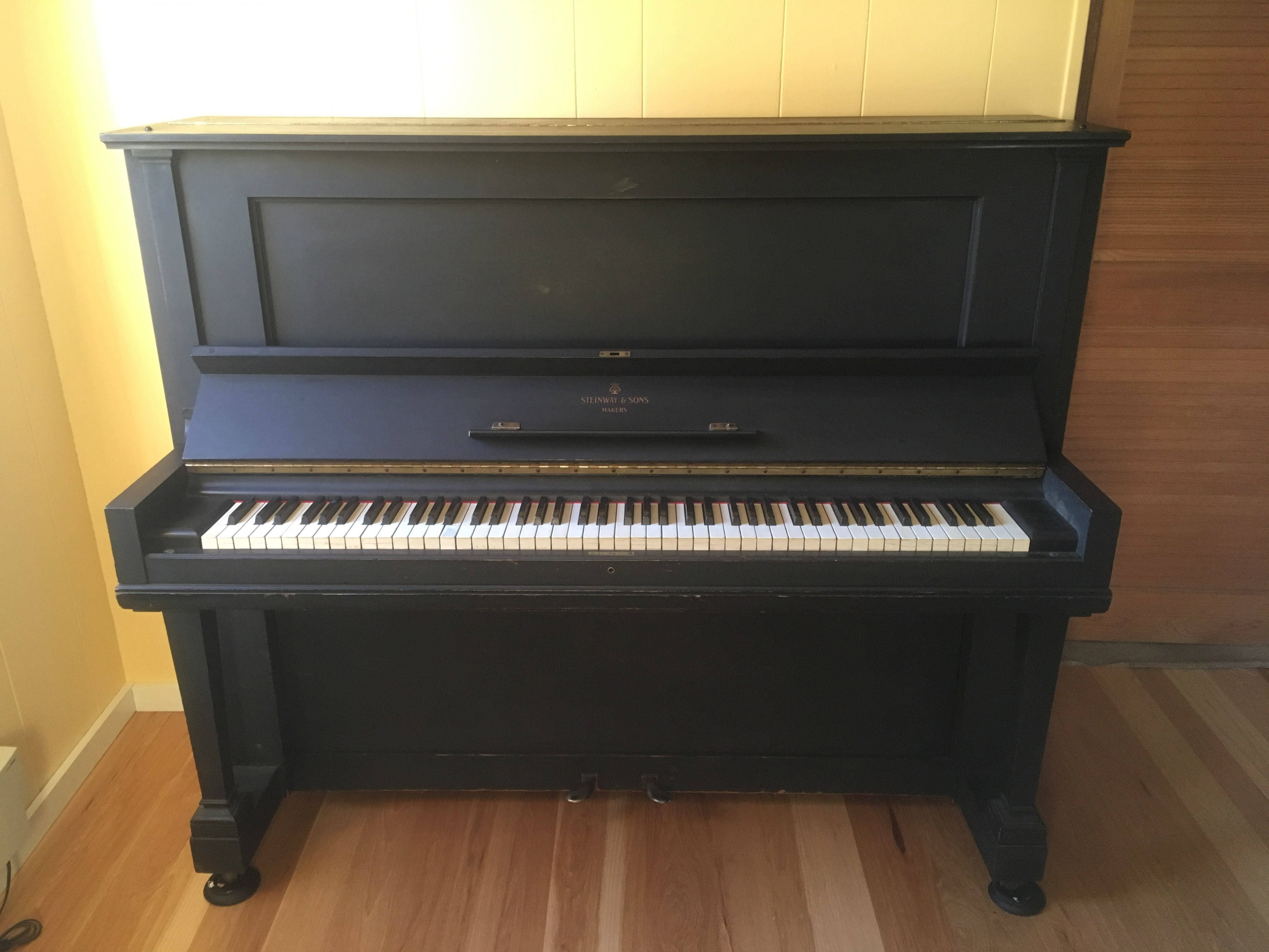 Steinway vertegrand deals piano